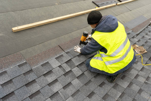 Best Storm Damage Roof Repair  in Ester, AK